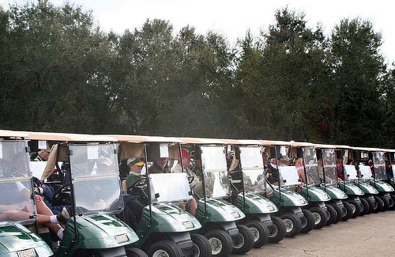 Golf Cars at Meyer Vacation Rentals