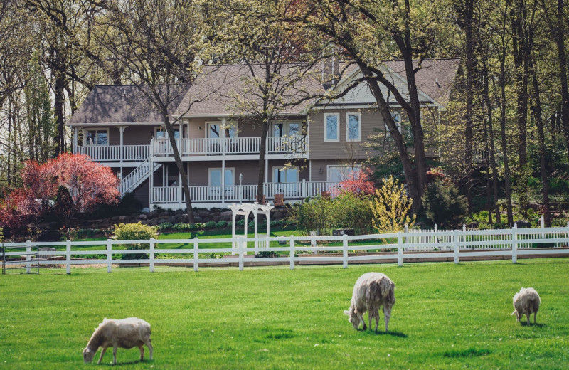 Exterior view of Speckled Hen Inn Bed 