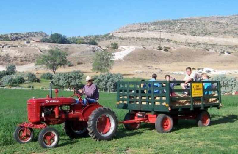 Wagon rides at K3 Guest Ranch.