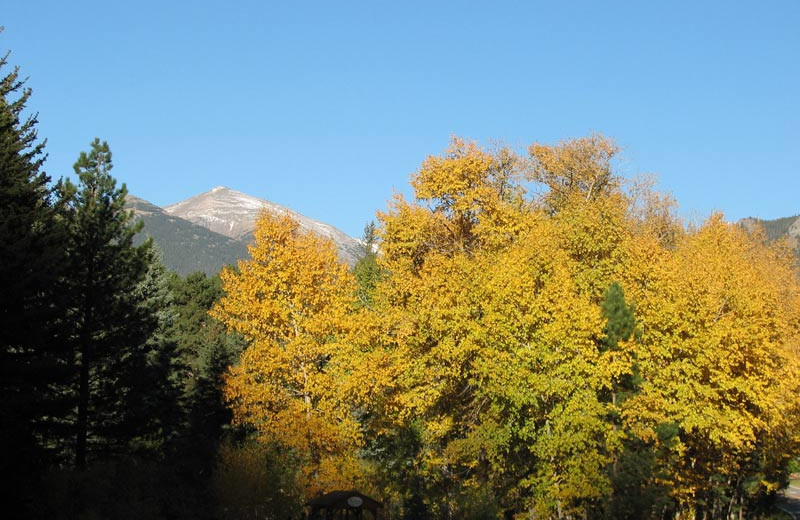 Fall colors at The Evergreens On Fall River.