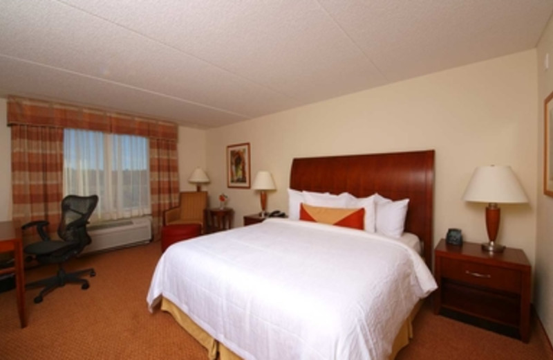 Standard King Room at Hilton Garden Inn Myrtle Beach