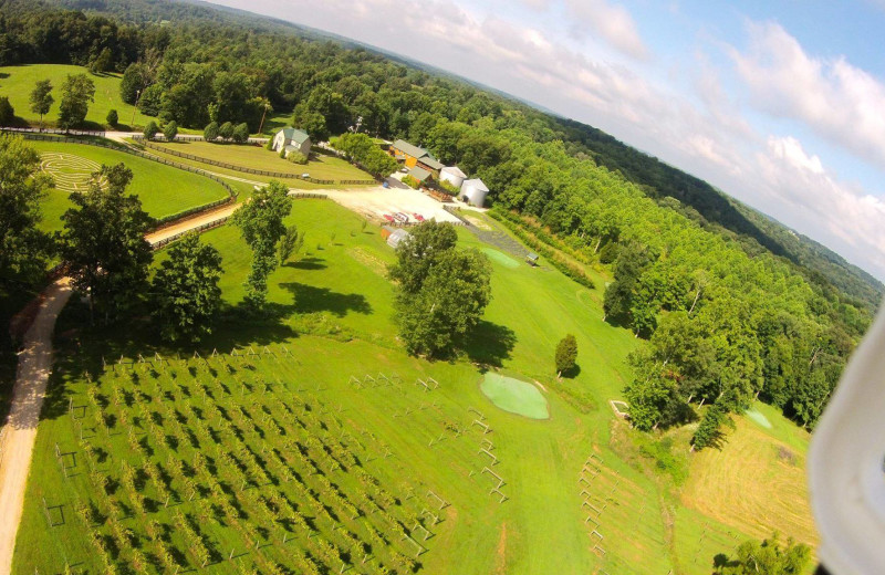 Aerial view of Elk Ridge Ranch.