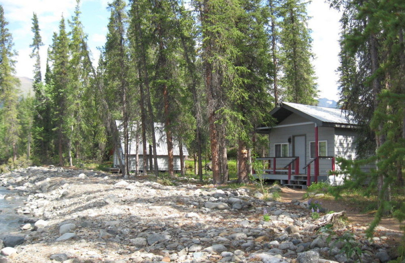 Cabin exterior at Denali Perch Resort.