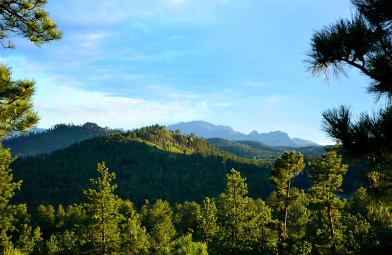 Mountain view near Backroads Inn and Cabins.