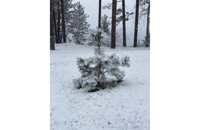 Winter at Timber Trails Resort.