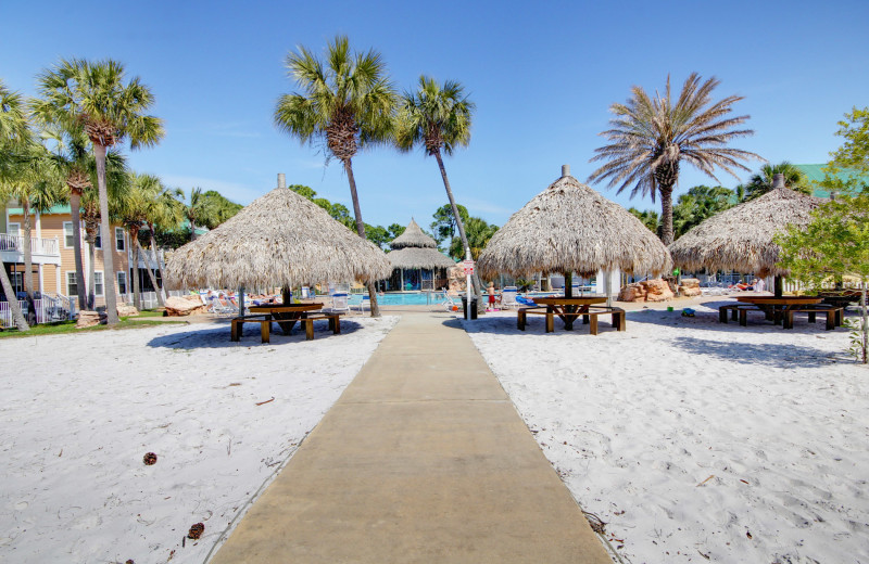 Beach at Purple Parrot Perdido Key.
