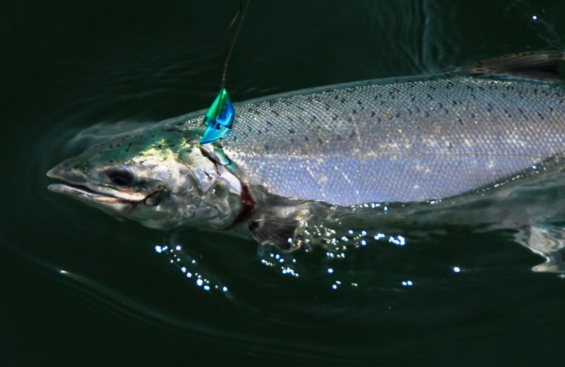 Fishing at Nootka Wilderness Lodge.