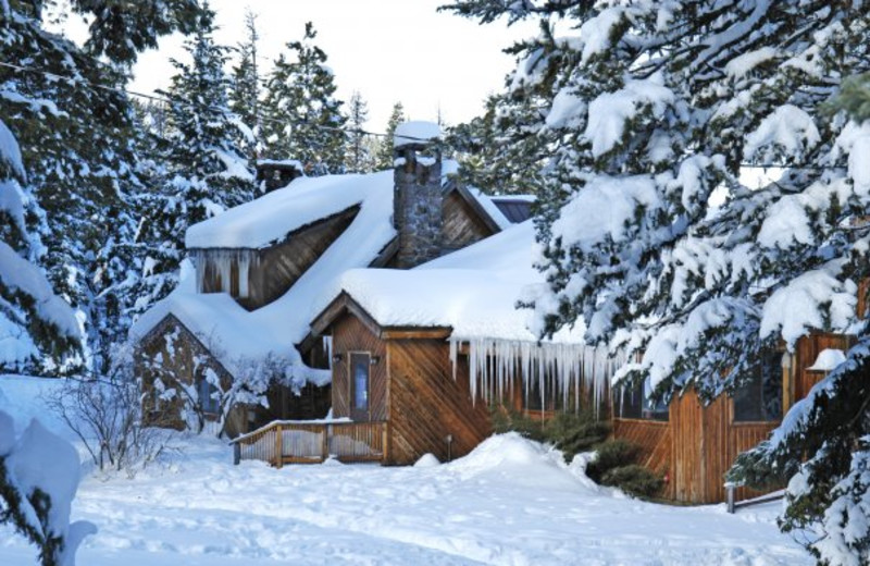 Cooper Spur Reviews Ratings Onthesnow Cooper Spur Reviews Ratings Onthesnow