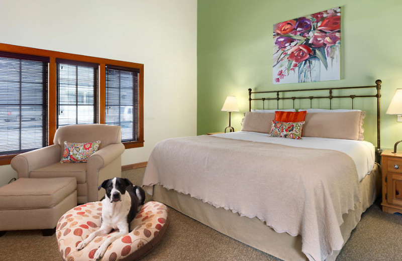 Your furry family member's stay includes usage of a cozy dog bed and bowl. 