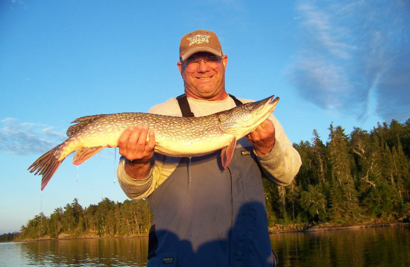 Muskie fishing at Rex Tolton's Miles Bay Camp.