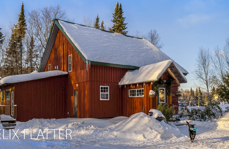 Lodge exterior at Wolf Den Hostel and Nature Retreat.