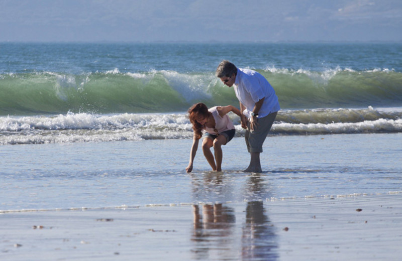 Collecting shells on the beach at Glorietta Bay Inn.