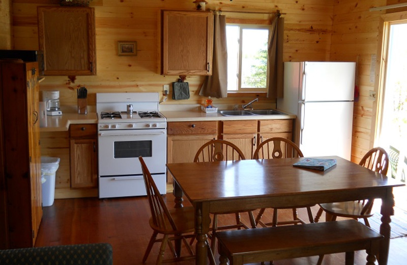 Cabin kitchen at Cedar Point Resort.