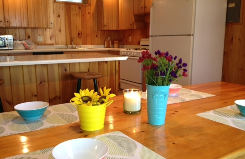 Timber Wolf Lodge (Ely, MN) Resort Reviews