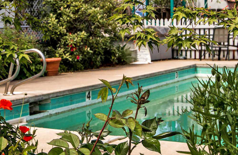 Outdoor pool at Shrews House Bed and Breakfast.