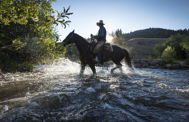 Horseback riding at 4UR Ranch.