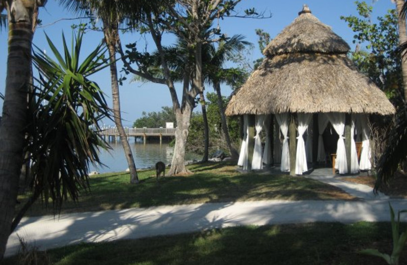 The beach at Little Palm Island Resort & Spa.