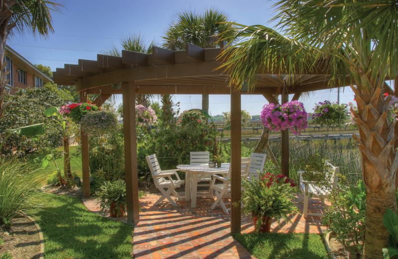 Outdoor gazebo at Hodnett Cooper.