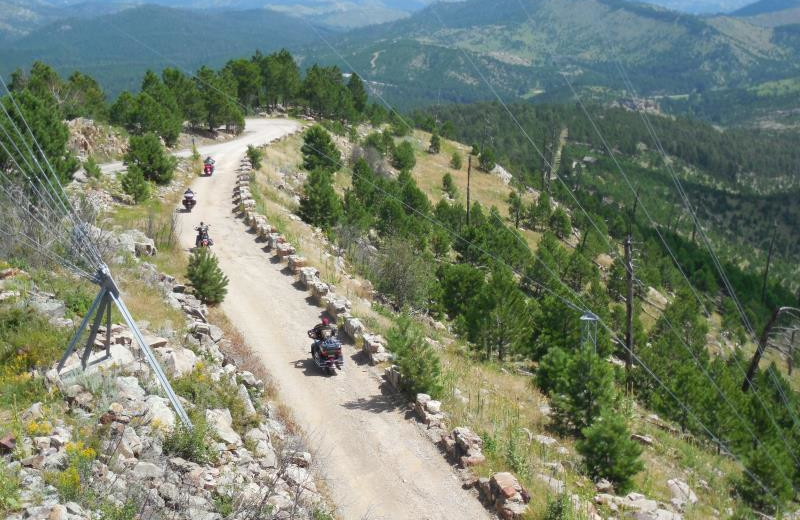 Biking in the mountains at Black Hills Cabins & Motel at Quail's Crossing.