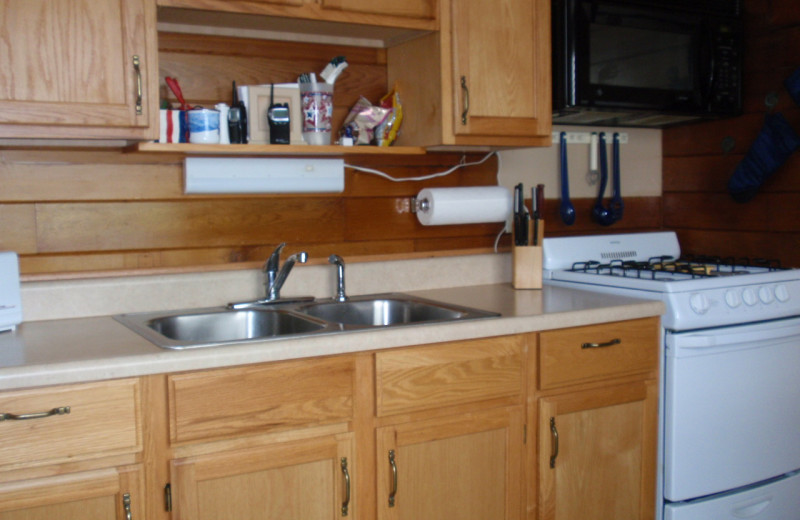 Cabin kitchen at Golden Rule Resort.