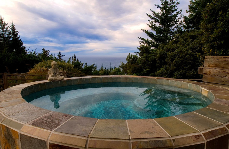 Hot tub at WildSpring Guest Habitat.
