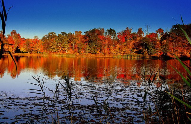 Fall colors at The Sullivan.