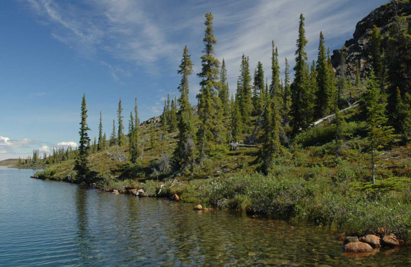 Shore side at Plummer's Arctic Fishing Lodges.