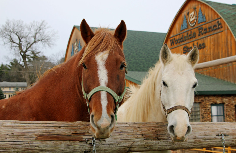 Exterior view of Woodside Ranch.