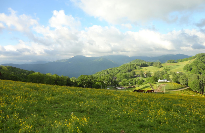 Scenic view at Cataloochee Ranch.