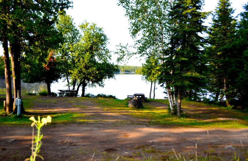 Campground at Nor'Wester Lodge & Canoe Outfitters.