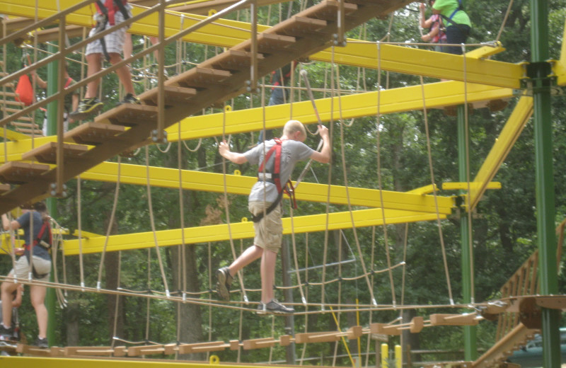 Adventure ropes at The Alcove at Luray.