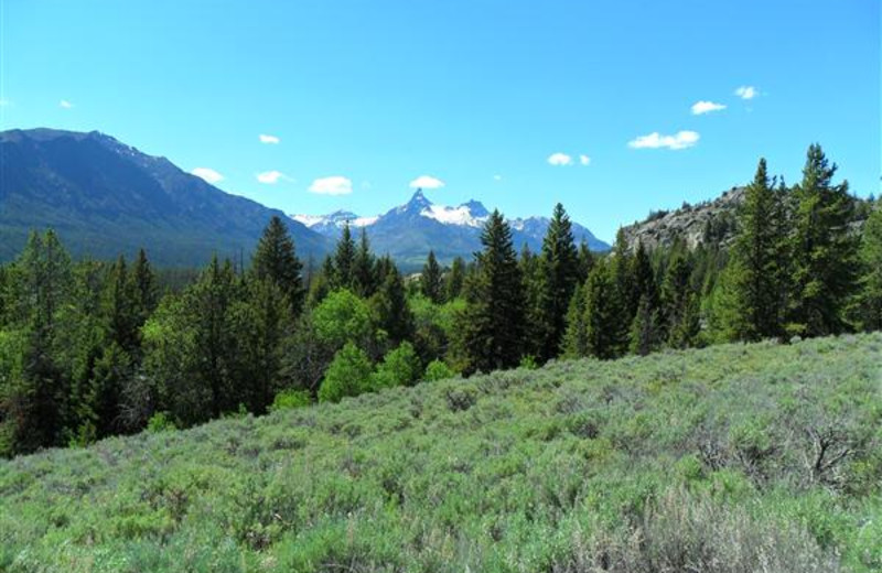 Landscape near Bill Cody Ranch