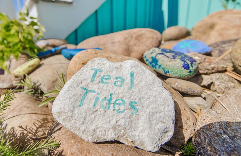 Painted rocks at Realty World - First Coast Realty.