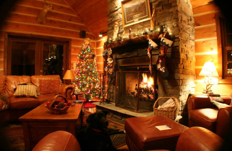 Holidays at Blue Ridge Cabins