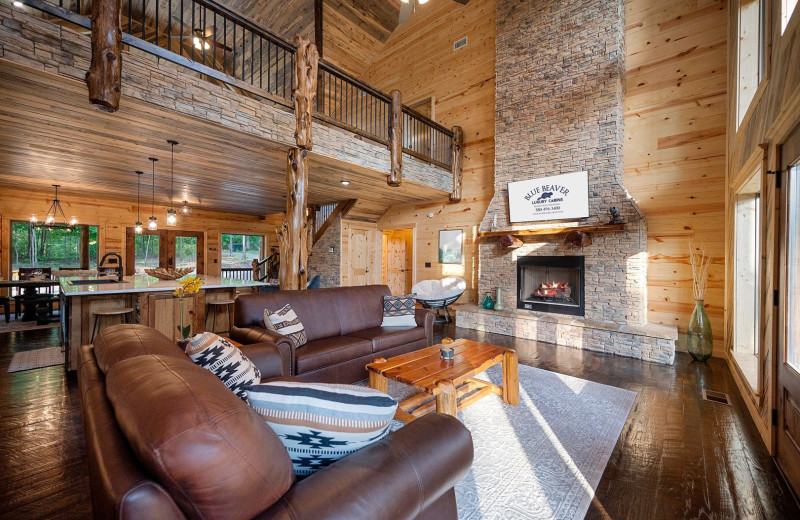 Rental great room at Blue Beaver Luxury Cabins.