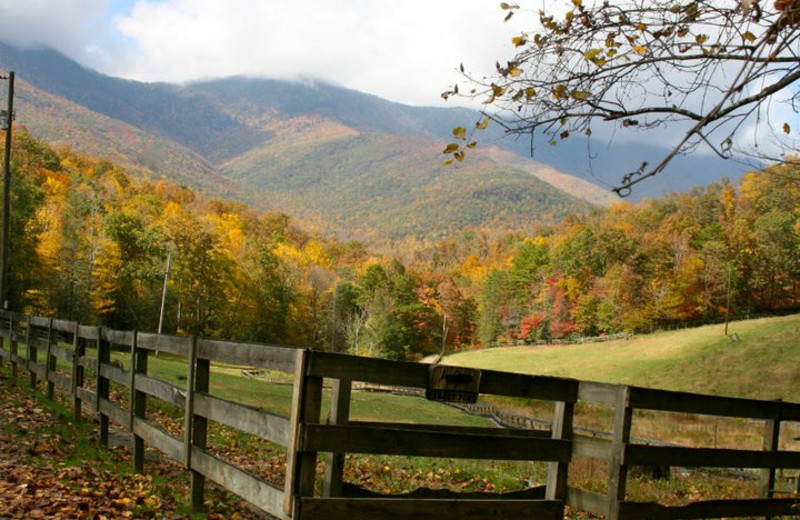 Fall at Clear Creek Guest Ranch