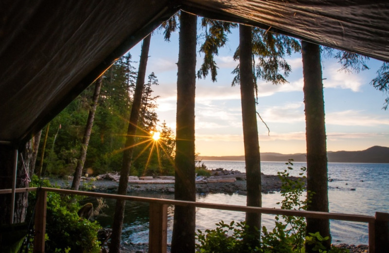 View from tent at Orca Camp.