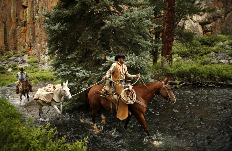 Horseback riding at X Diamond Ranch.