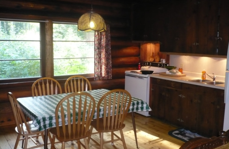 Cabin kitchen at Logs Resort.