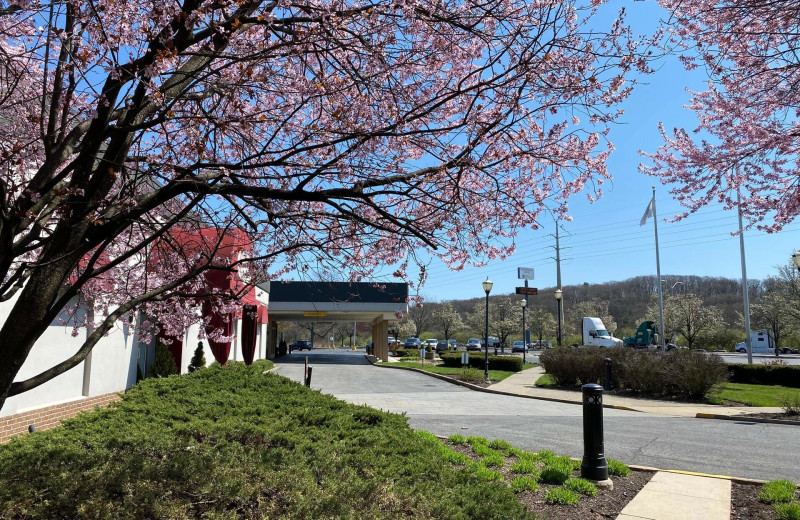 Guest room at Best Western Lehigh Valley Hotel and Conference Center.