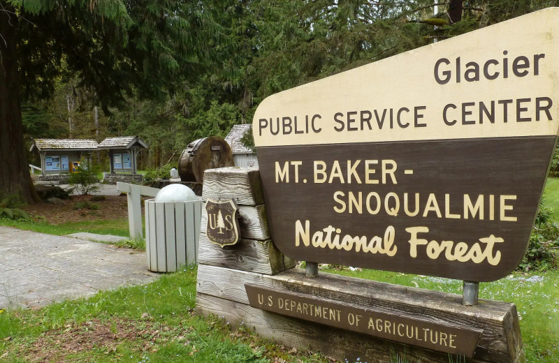 Park near Mt. Baker Lodging.