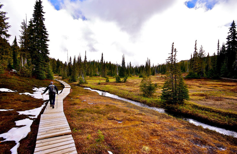 Hiking at Wood Mountain Lodge.