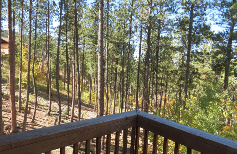 Rental balcony at Edelweiss Mountain Lodging.