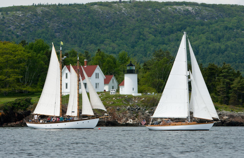 Sail boats at Mount Battie Motel.