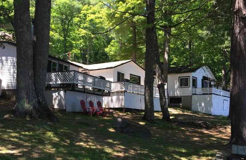 Cabins at Little Hawk Resort 