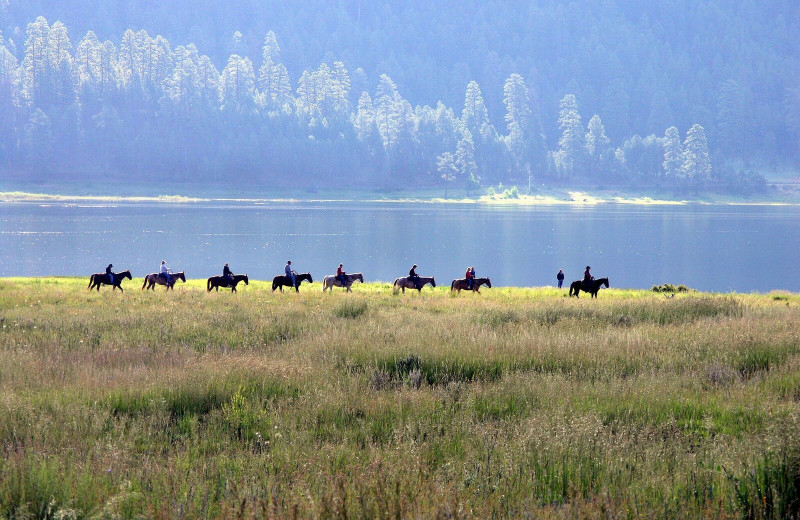 Horseback riding at Pine River Lodge.