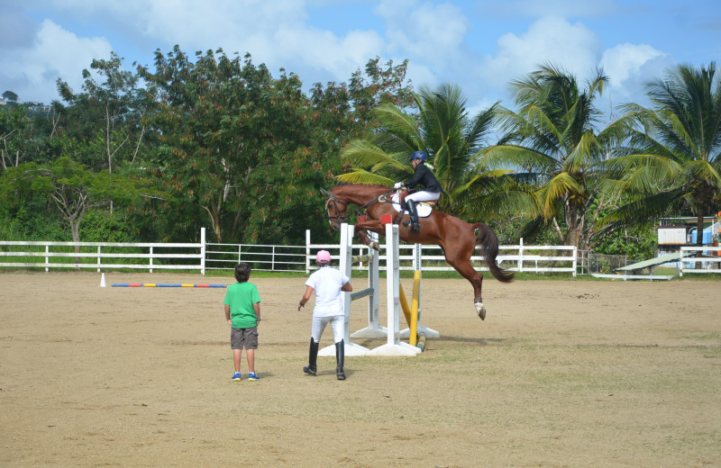 Horseback riding at The Plaza Suites.