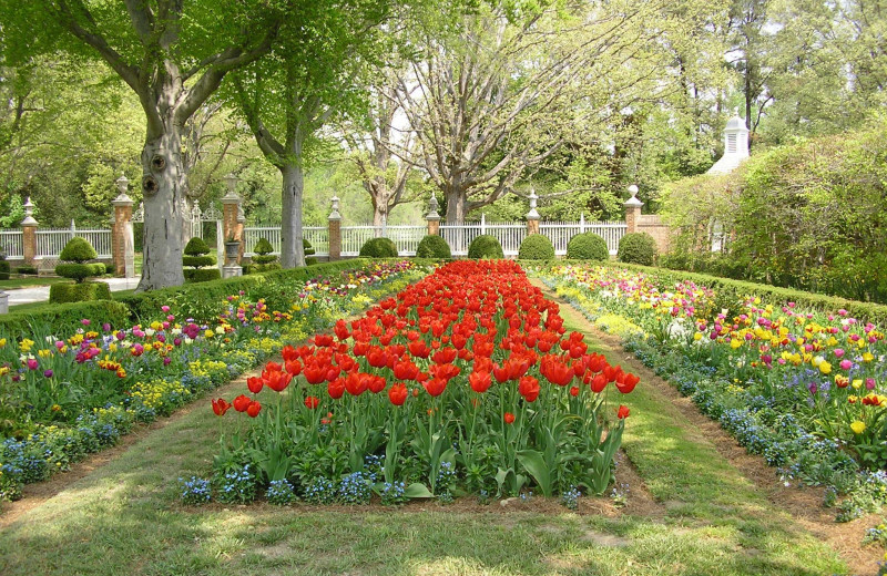 Garden near King's Creek Plantation.