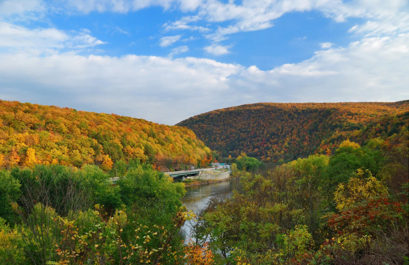 Fall color at Cove Haven Entertainment Resorts.