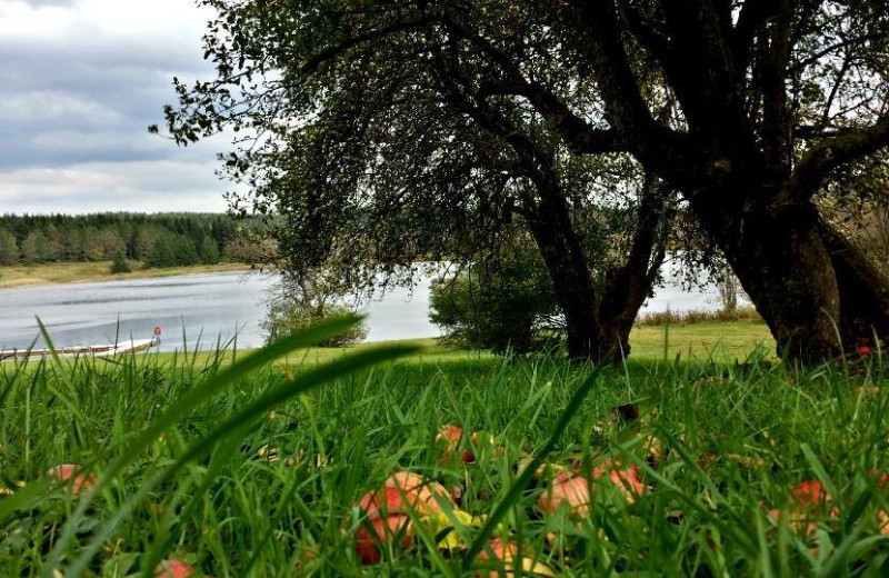 Lake view at The Woods At Bear Creek Glamping Resort.